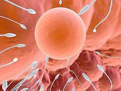 显微操作